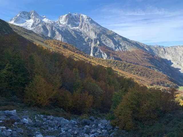 Cumbres De Los Picos Apartamento La Yedra Poo  Exteriör bild